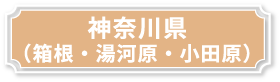 神奈川県（箱根・湯河原・小田原）